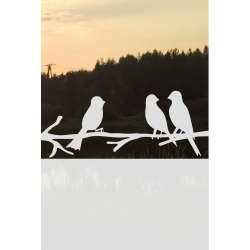 ROZ31 50x47 naklejka na okno wzory zwierzęce - ptaki